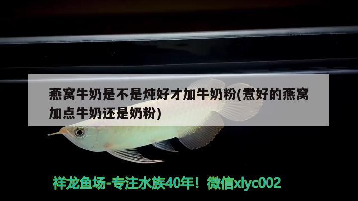 燕窩牛奶是不是燉好才加牛奶粉(煮好的燕窩加點牛奶還是奶粉) 馬來西亞燕窩