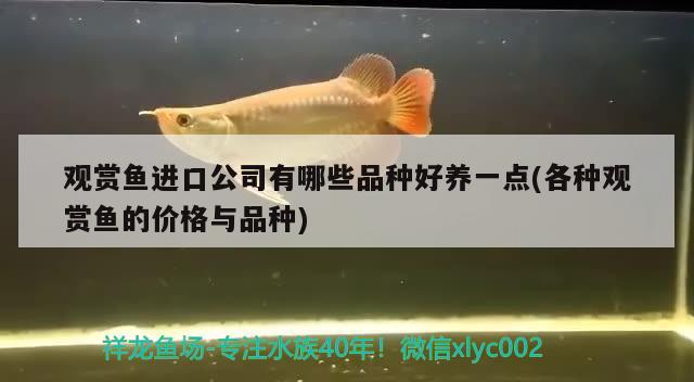 廣州華懂貿(mào)易店 全國水族館企業(yè)名錄 第3張