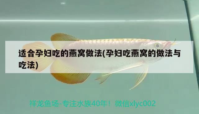 獅子頭黑白畫：知道的說說金魚的種類有多少 觀賞魚 第2張