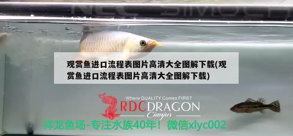 臨淄觀賞魚批發(fā)市場地址電話電話，臨淄觀賞魚批發(fā)市場