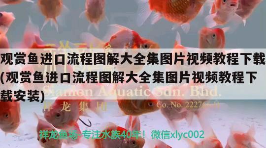 請問下什么牌子的超白魚缸好，超白魚缸好嗎 養(yǎng)魚的好處 第1張