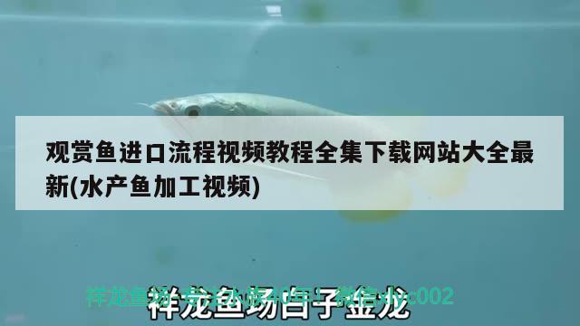 觀賞魚進(jìn)口流程視頻教程全集下載網(wǎng)站大全最新(水產(chǎn)魚加工視頻) 觀賞魚進(jìn)出口