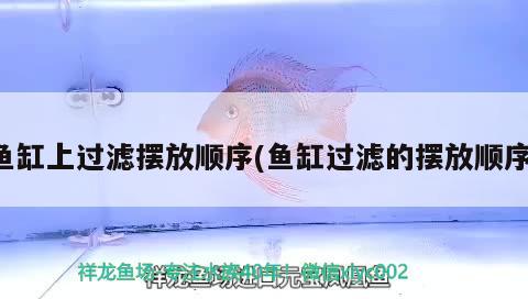 哈爾濱海水觀賞魚(yú)(哈爾濱哪里有水族館)