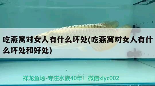 清遠(yuǎn)魚缸制品廠地址電話號(hào)碼（ 清遠(yuǎn)水族館地址） 黃金眼鏡蛇雷龍魚