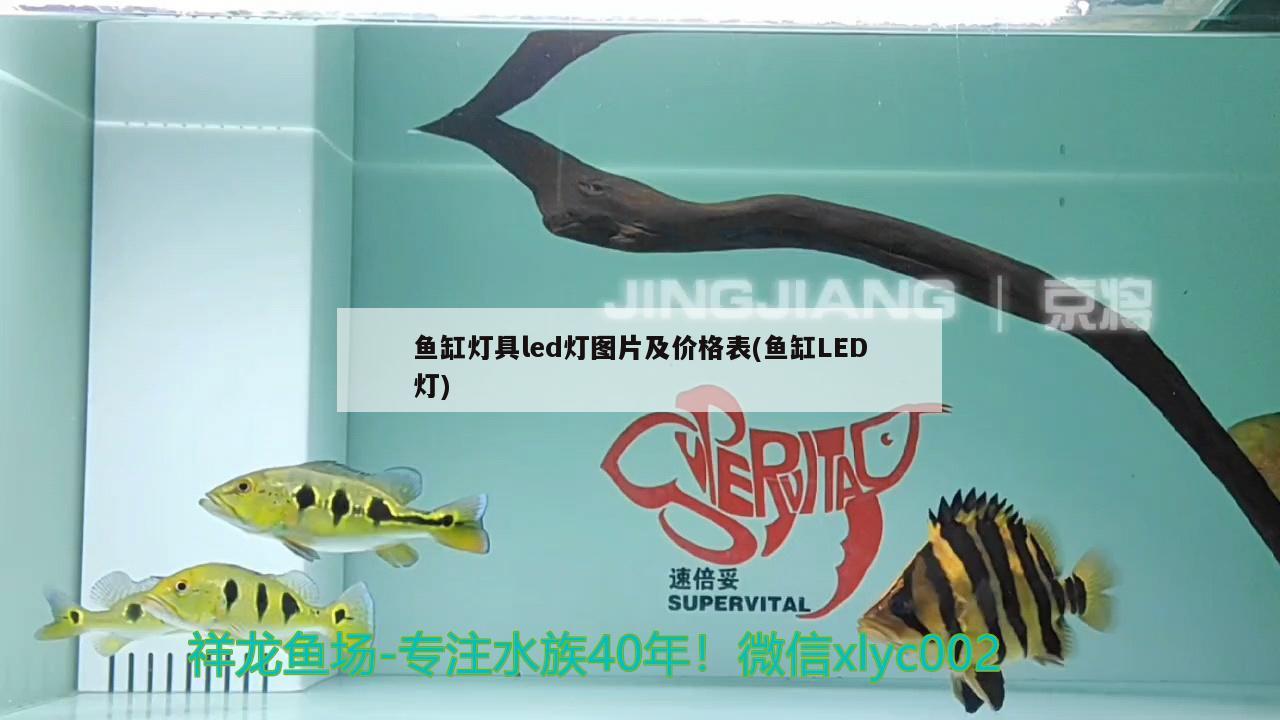 魚缸燈具led燈圖片及價格表(魚缸LED燈)