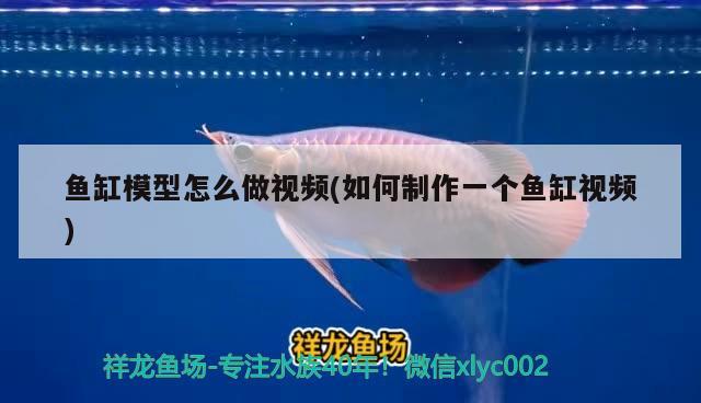 魚缸模型怎么做視頻(如何制作一個魚缸視頻) 水族燈（魚缸燈）