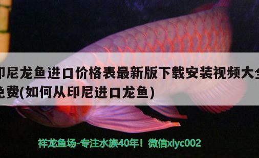 品牌魚缸加熱棒推薦 品牌魚缸加熱棒推薦哪個