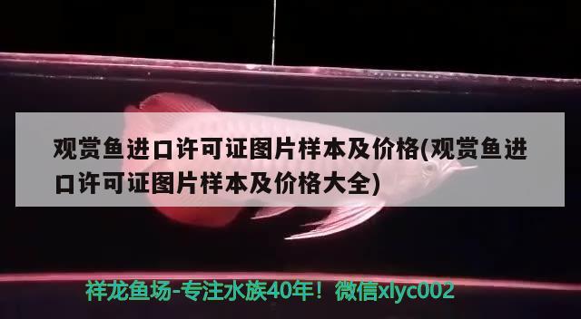 觀賞魚進(jìn)口許可證圖片樣本及價(jià)格(觀賞魚進(jìn)口許可證圖片樣本及價(jià)格大全)