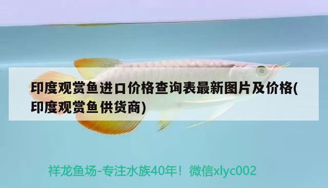 印度觀賞魚進口價格查詢表最新圖片及價格(印度觀賞魚供貨商) 觀賞魚進出口