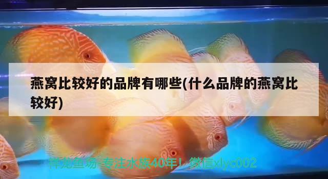 東莞市厚街海月水族器材店 全國水族館企業(yè)名錄