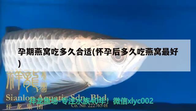 魚(yú)缸晚上需要開(kāi)燈嗎養(yǎng)龍魚(yú)好嗎(魚(yú)缸晚上需要開(kāi)燈嗎養(yǎng)龍魚(yú)好嗎為什么) 祥龍金禾金龍魚(yú) 第1張