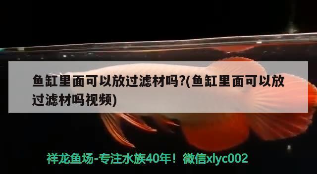 珍珠的種類分為：珍珠的種類分為有核珍珠和無核珍珠嗎 觀賞魚 第1張