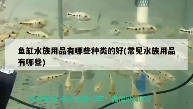 魚缸水族用品有哪些種類的好(常見水族用品有哪些) 水族用品