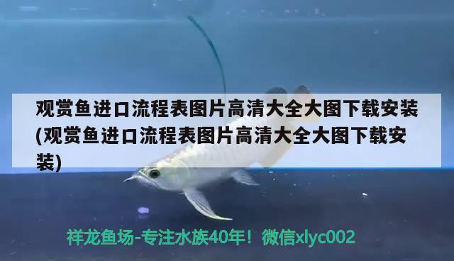 觀賞魚進(jìn)口流程表圖片高清大全大圖下載安裝(觀賞魚進(jìn)口流程表圖片高清大全大圖下載安裝) 觀賞魚進(jìn)出口