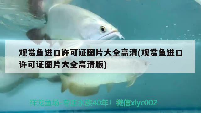 觀賞魚進口許可證圖片大全高清(觀賞魚進口許可證圖片大全高清版) 觀賞魚進出口