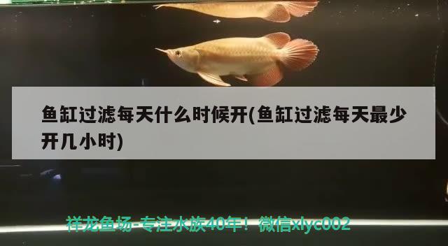 魚缸過濾每天什么時(shí)候開(魚缸過濾每天最少開幾小時(shí)) 印尼四紋虎 第2張