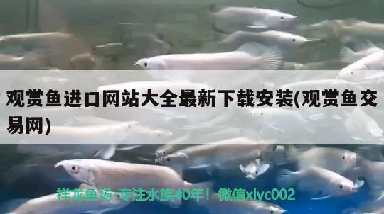 觀賞魚進(jìn)口網(wǎng)站大全最新下載安裝(觀賞魚交易網(wǎng))