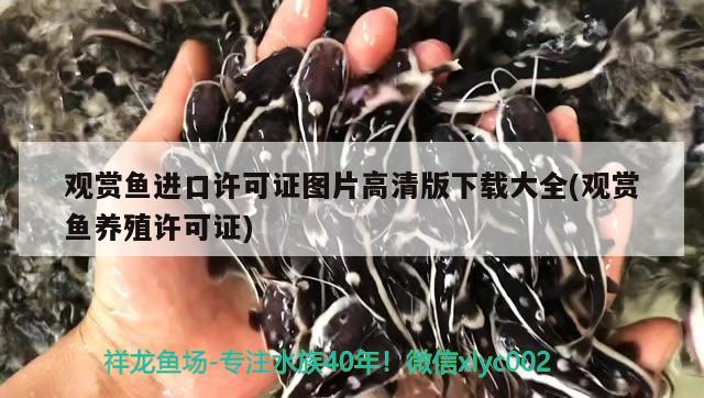 觀賞魚進(jìn)口許可證圖片高清版下載大全(觀賞魚養(yǎng)殖許可證) 觀賞魚進(jìn)出口