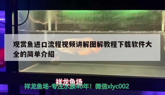 觀賞魚進口流程視頻講解圖解教程下載軟件大全的簡單介紹 觀賞魚進出口