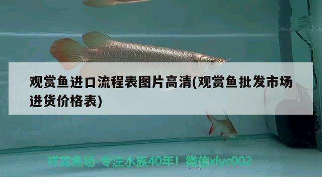 觀賞魚進(jìn)口流程表圖片高清(觀賞魚批發(fā)市場(chǎng)進(jìn)貨價(jià)格表) 觀賞魚進(jìn)出口