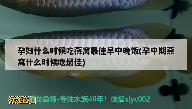 三米魚缸尺寸多大（三米魚缸尺寸多大合適） 魚缸百科 第2張