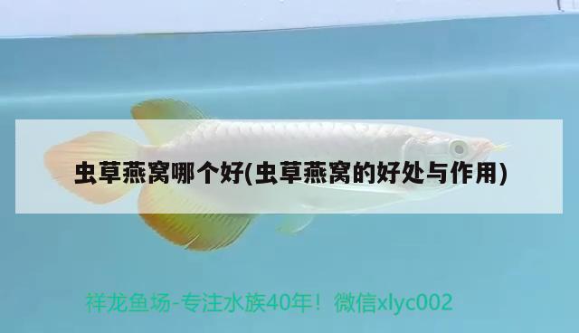 哪個牌子的魚缸質量好耐用（哪個牌子的魚缸性價比高） 刀魚魚 第2張