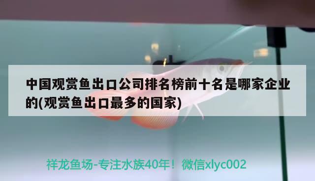 中國觀賞魚出口公司排名榜前十名是哪家企業(yè)的(觀賞魚出口最多的國家)