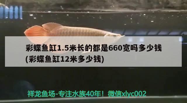 彩蝶魚缸1.5米長的都是660寬嗎多少錢(彩蝶魚缸12米多少錢)