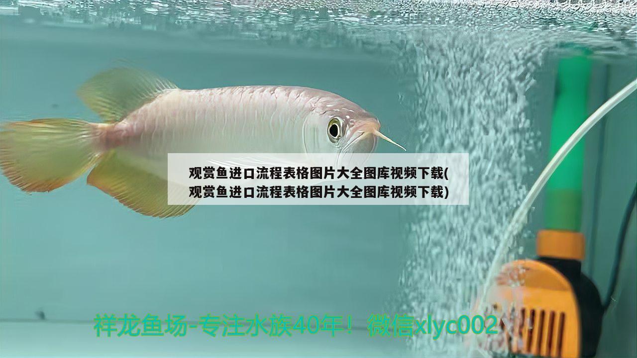 深圳金龍魚公司電話：金龍魚深圳分公司