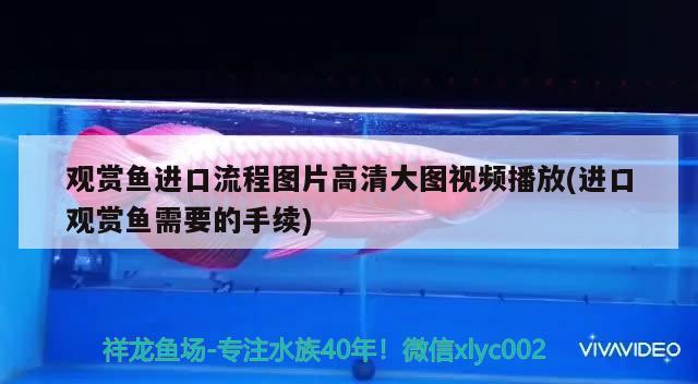 寧波魚(yú)缸定做廠家電話號(hào)碼多少?。簩幉~(yú)缸制作哪家強(qiáng) 養(yǎng)魚(yú)的好處 第1張