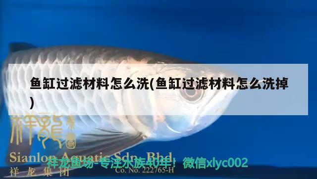 魚缸過濾材料怎么洗(魚缸過濾材料怎么洗掉) 朱巴利魚苗