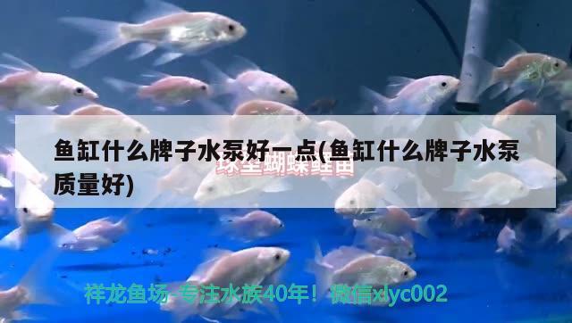 魚(yú)缸什么牌子水泵好一點(diǎn)(魚(yú)缸什么牌子水泵質(zhì)量好)