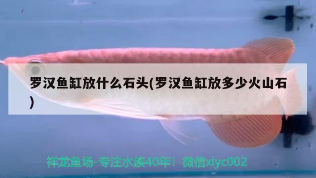 哈爾濱魚缸批發(fā)市場(chǎng)在哪兒?。汗枮I哪里批發(fā)魚缸便宜