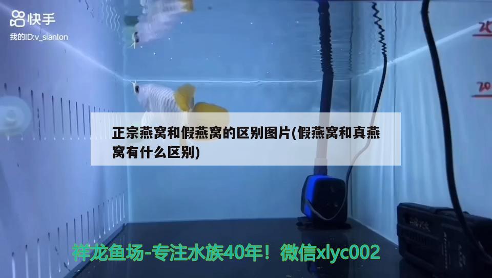 哈爾濱魚缸定制廠家地址在哪兒（哈爾濱魚缸維修電話） 祥龍水族醫(yī)院 第2張