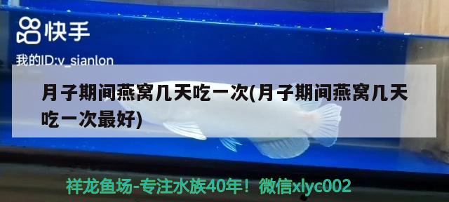 哈爾濱魚缸定制廠家地址在哪兒（哈爾濱魚缸維修電話） 祥龍水族醫(yī)院 第1張