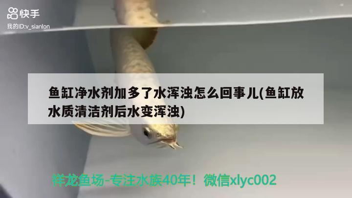 魚缸凈水劑加多了水渾濁怎么回事兒(魚缸放水質(zhì)清潔劑后水變渾濁)