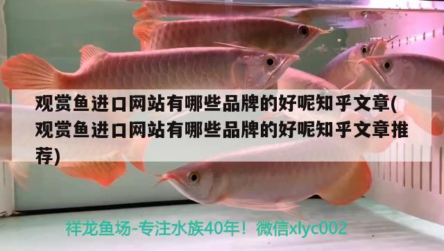 觀賞魚進(jìn)口網(wǎng)站有哪些品牌的好呢知乎文章(觀賞魚進(jìn)口網(wǎng)站有哪些品牌的好呢知乎文章推薦) 觀賞魚進(jìn)出口