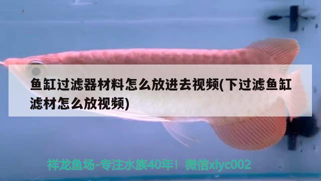 魚缸過濾器材料怎么放進(jìn)去視頻(下過濾魚缸濾材怎么放視頻)