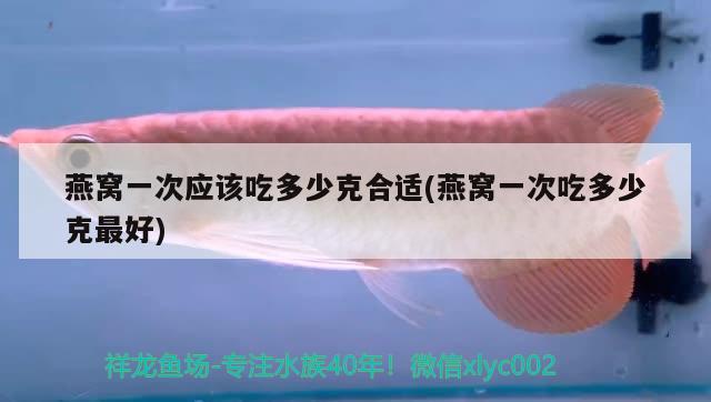 常州小型魚缸定做哪家做的好，可以定做魚缸蓋子嗎 養(yǎng)魚的好處 第3張