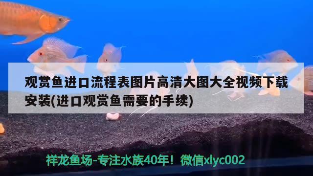 觀(guān)賞魚(yú)進(jìn)口流程表圖片高清大圖大全視頻下載安裝(進(jìn)口觀(guān)賞魚(yú)需要的手續(xù)) 觀(guān)賞魚(yú)進(jìn)出口