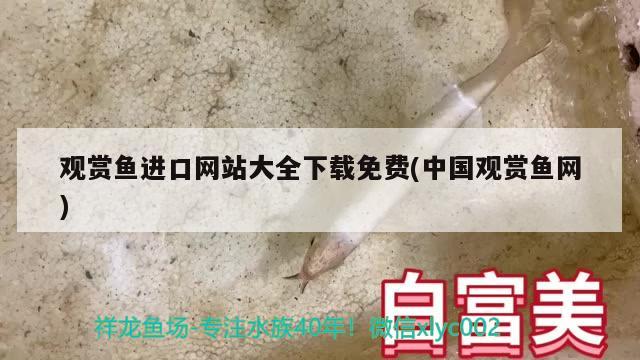 觀賞魚進口流程表格圖片高清版視頻教程(觀賞魚完全手冊) 觀賞魚進出口