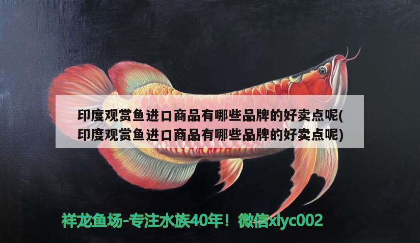 印度觀賞魚進(jìn)口商品有哪些品牌的好賣點呢(印度觀賞魚進(jìn)口商品有哪些品牌的好賣點呢) 觀賞魚進(jìn)出口