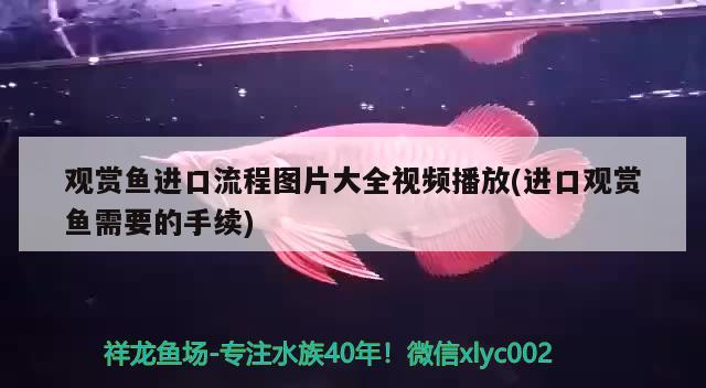 長春定制魚缸哪家做的好啊價格（什么地方是屋里的財位，暗財位要如何看）