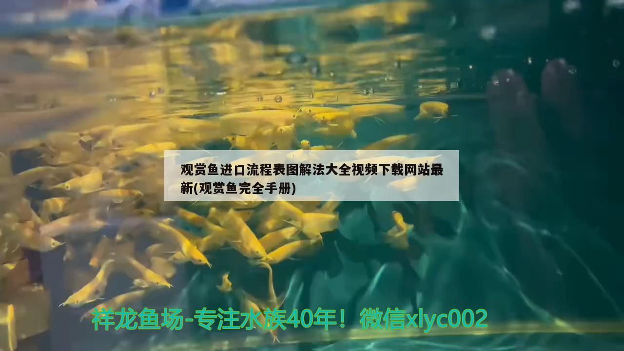 觀賞魚進口流程表圖解法大全視頻下載網(wǎng)站最新(觀賞魚完全手冊) 觀賞魚進出口