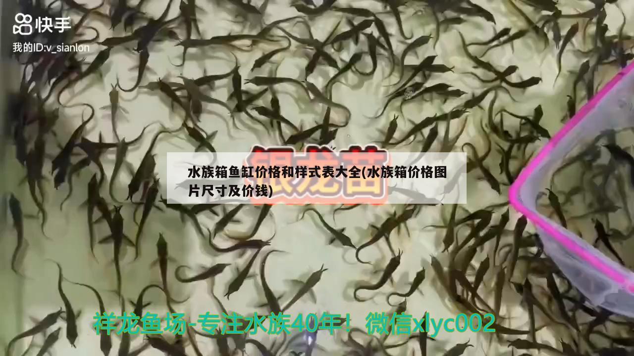 水族箱魚缸價格和樣式表大全(水族箱價格圖片尺寸及價錢) 魚缸/水族箱