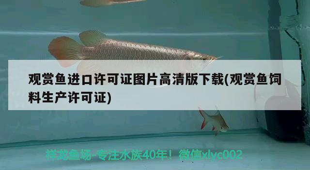 觀賞魚進(jìn)口許可證圖片高清版下載(觀賞魚飼料生產(chǎn)許可證) 觀賞魚進(jìn)出口