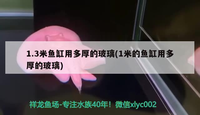 佛山哪里有二手魚缸賣的實體店呢 佛山哪里有二手魚缸賣的實體店呢電話