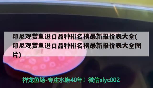 金龍魚玉雕擺件 金龍魚玉雕擺件圖片大全 黃金招財(cái)貓魚 第2張