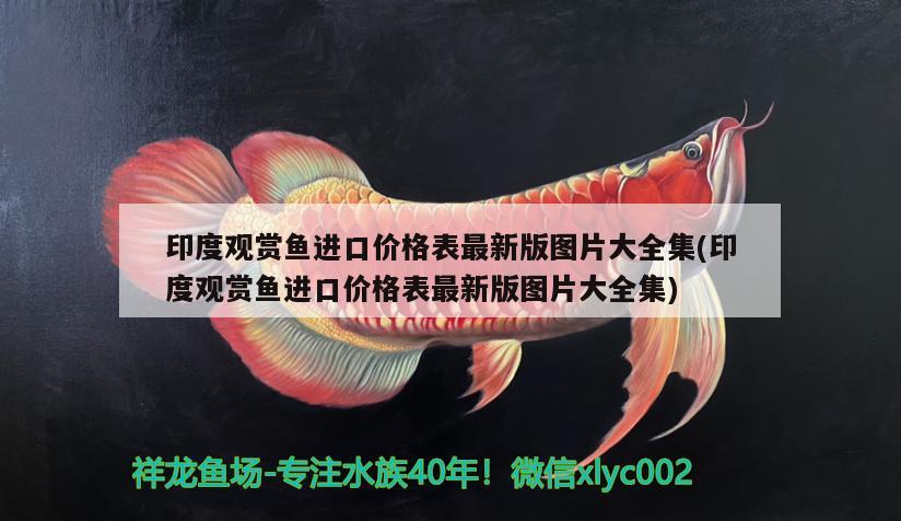 印度觀賞魚進口價格表最新版圖片大全集(印度觀賞魚進口價格表最新版圖片大全集) 觀賞魚進出口