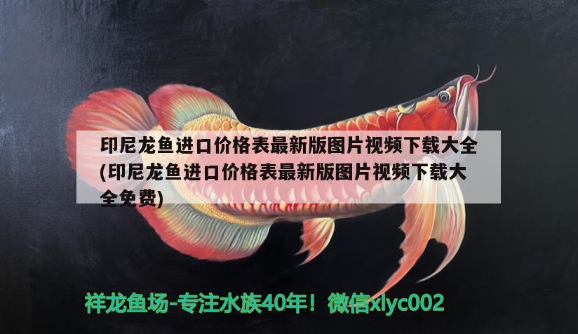 印尼龍魚進口價格表最新版圖片視頻下載大全(印尼龍魚進口價格表最新版圖片視頻下載大全免費) 觀賞魚進出口